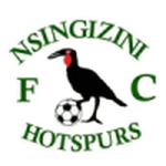 Nsingizini Hotspurs Team Logo