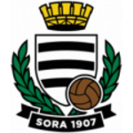 Sora Logo