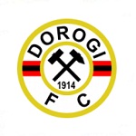 Dorogi FC Logo