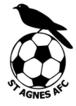 St Agnes Logo