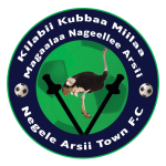 Negelle Arsi Team Logo