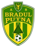 Bradul Putna Logo