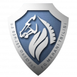 Merani Tbilisi Logo