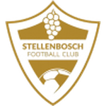 Stellenbosch Team Logo