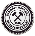 Sárisápi Bányász Logo