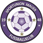 Union Mauer Logo
