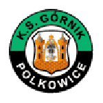 Górnik Polkowice Logo
